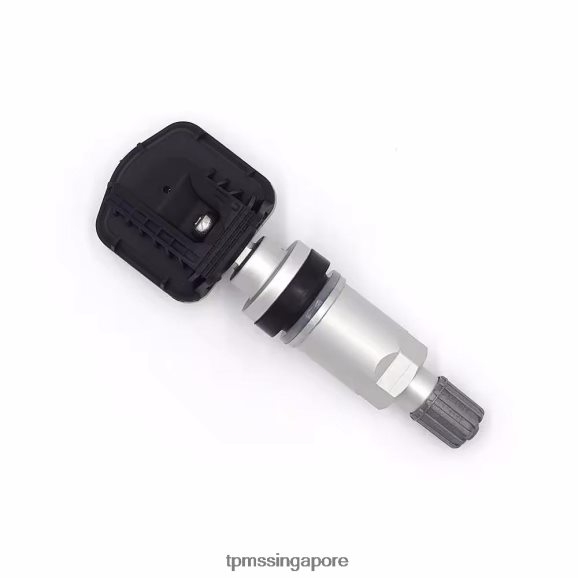 TPMS motorcycle TPMS Rongwei Tire Pressure Sensor 10290600 LPF86V1256