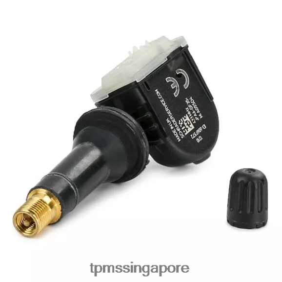 TPMS installation singapore TPMS Traum The Pressure Sensor 3617020001S301 433MHZ LPF86V1793